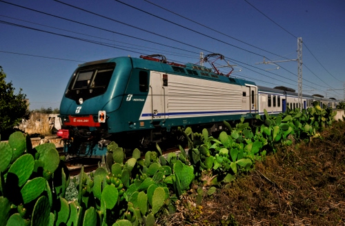 Immagine con treno, verde, fili, locomotore, cactus, ferrovia, fichi, locomotiva