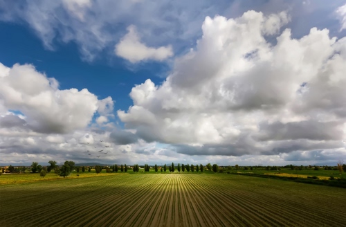 Immagine con nuvole, campagna, paesaggio, cielo, alberi