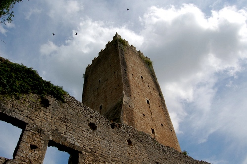 Immagine con torre, nuvole, uccelli, merli, cielo, ruderi, mura, rudere