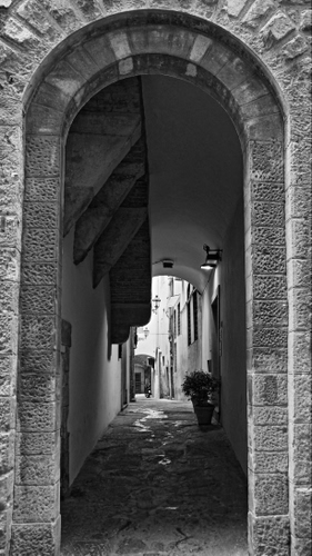 Immagine con arco, vicolo, bianconero, vasi, archi, strada, finestre, lampioni, portico, pianta