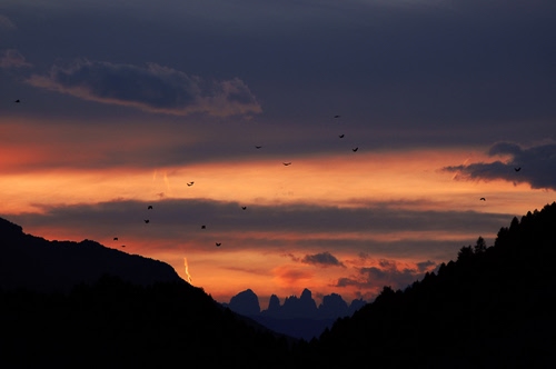Immagine con tramonto, nuvole, montagne, uccelli, controluce, arancio, cielo, montagna, nero, alberi