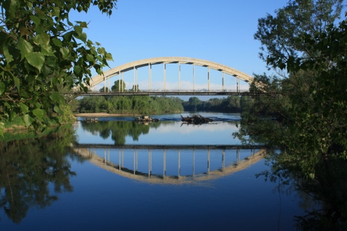Immagine con alberi, ponte, fiume, acqua, riflesso, cielo, arco, verde, azzurro, foglie, riflessi, piante, arcata, natura