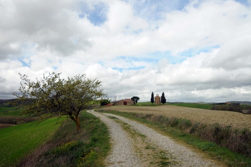 Immagine con strada, albero, campagna, nuvole, cielo, campi, casa, verde, alberi