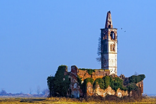 Immagine con campanile, chiesa, rudere, campagna, rampicanti, abbandono, ruderi, verde, rovine, torre