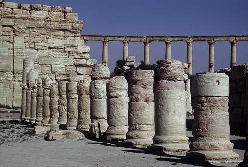 Immagine con colonne, ruderi, archeologia, pietre, rovine, cielo, muro, resti, capitelli, pietra, azzurro, tempio, antichità