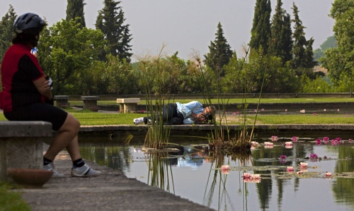 Immagine con acqua, fotografo, alberi, verde, ninfee, panchina, parco, ciclista, fiori