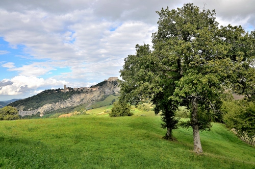 Immagine con verde, prato, alberi, collina, nuvole, albero, panorama, paesaggio, cielo, montagna, erba, paese