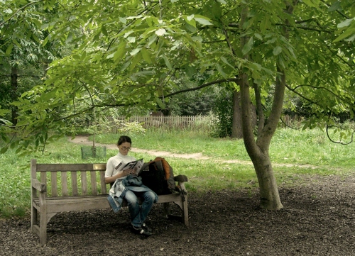 Immagine con panchina, albero, leggere, verde, alberi, parco, foglie, lettura, zaino, giardino, ragazza, lettrice