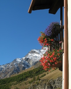 fiori, neve, montagna, balcone, alberi, rosso, piante, gerani, azzurro, cielo, ringhiera, vasi, verde, bosco, montagne, prato, bianco, grondaia, scorcio, legno, fiore, vette