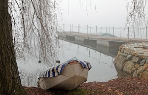 barca, albero, rami, acqua, riflessi, nebbia, pietre, tronco, pontile, lago, telo, inverno, foglie, molo, foschia, muro