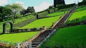 verde, giardino, scale, scalinata, gradini, prato, scala, siepe, erba, siepi, fiori